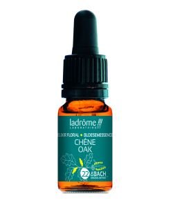 Oak - Oak (No. 22) BIO, 10 ml